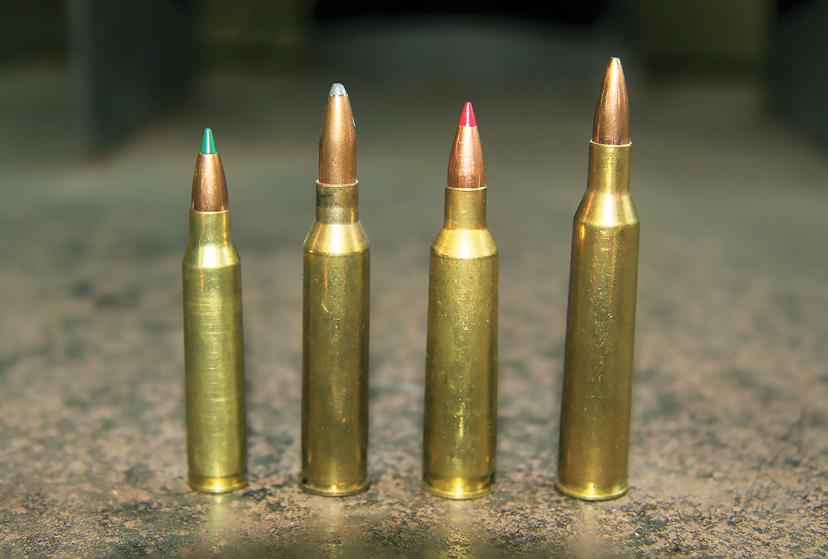 Shown for comparison (left to right): 223 Remington, 225 Winchester, 22-250 Remington and 220 Swift.